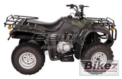 2012 BamX BX250-U Back Country photo